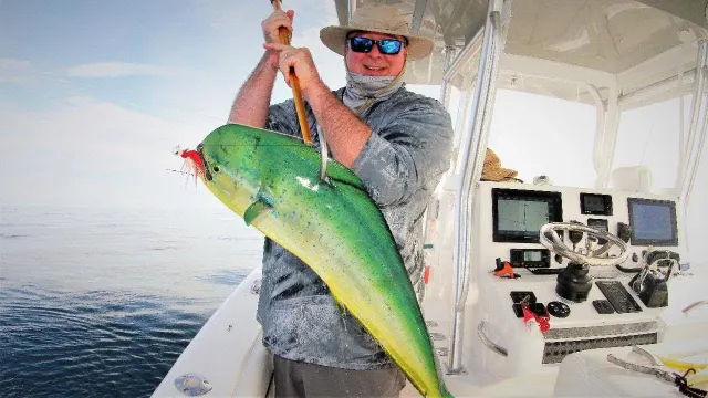 Mahi Mahem!