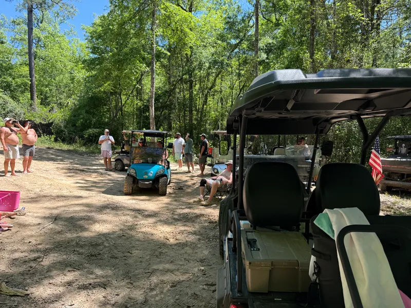 Friends spending a sunny day with golf carts beside a wooded road